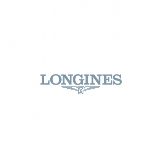 THE LONGINES MASTER COLLECTIONL2.843.4.93.2